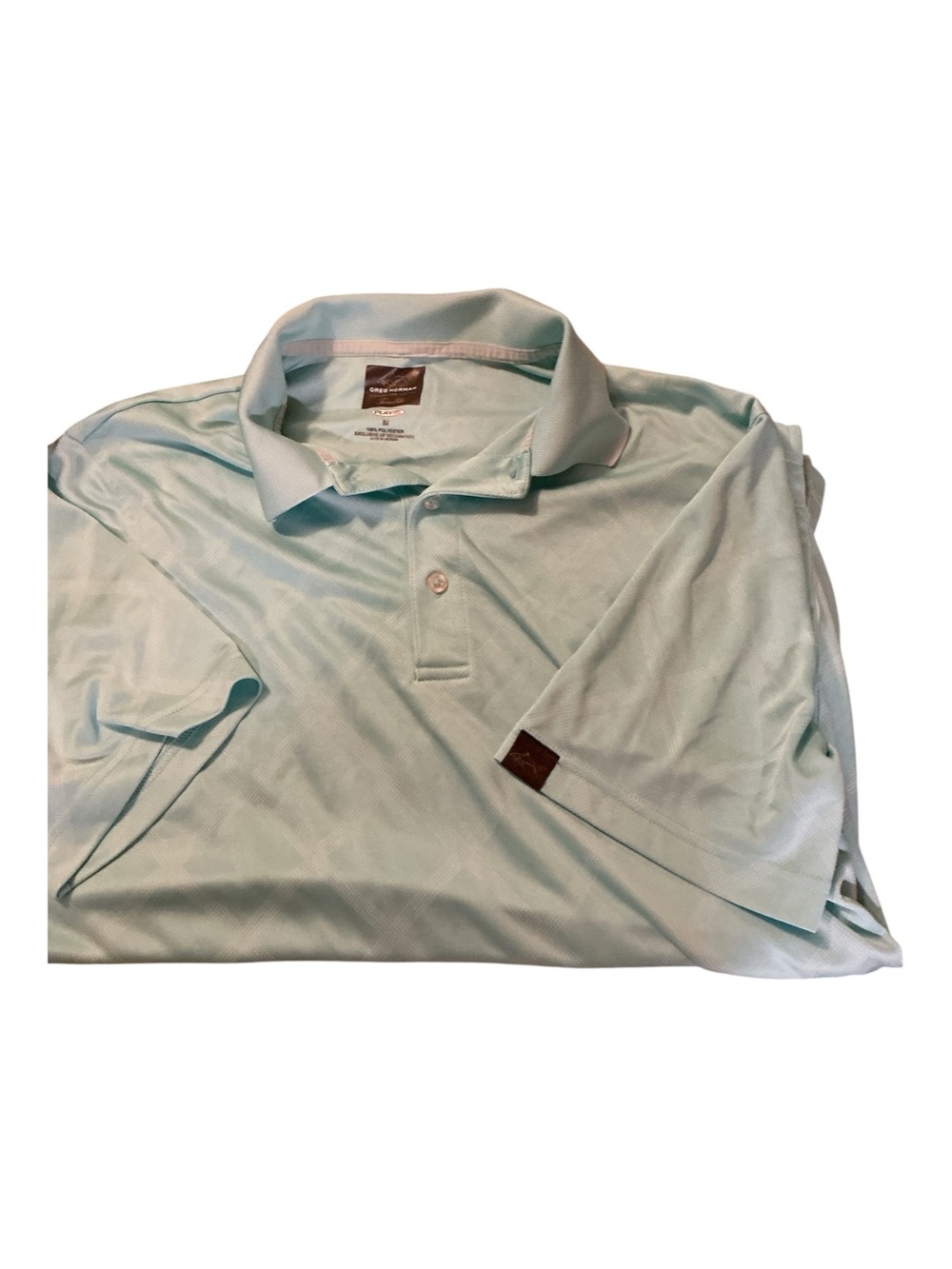 Tasso Elba Men's Mint Polo Shirt
